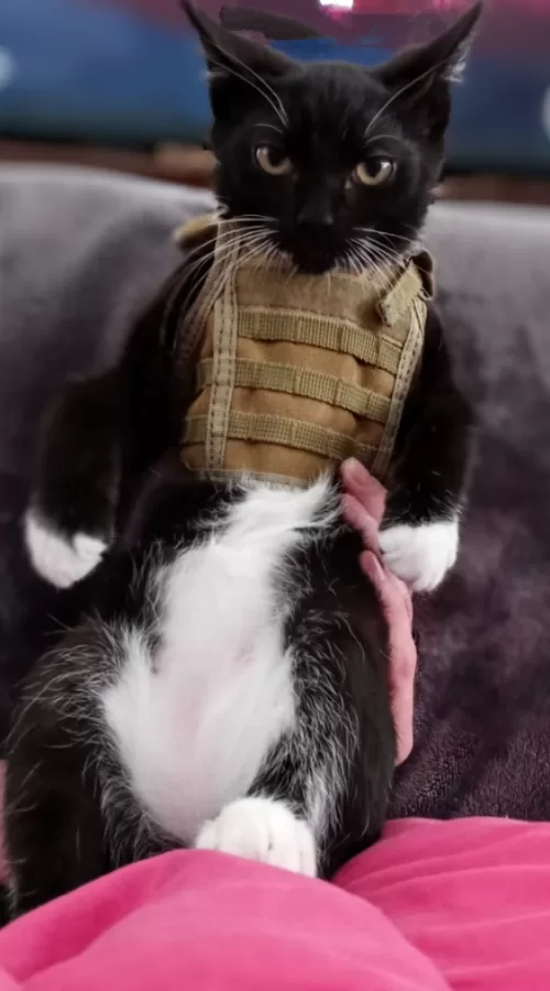 We protect even the smallest 